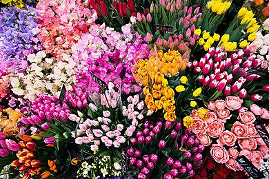 卡普空表示科幻新作《虚实万象》开发稳步推进中