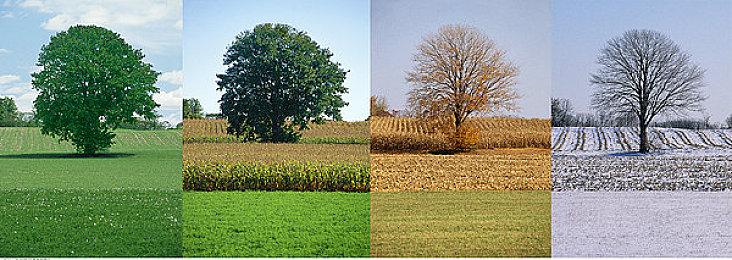 《魔兽世界》总监解释一口气公布三个资料片原因